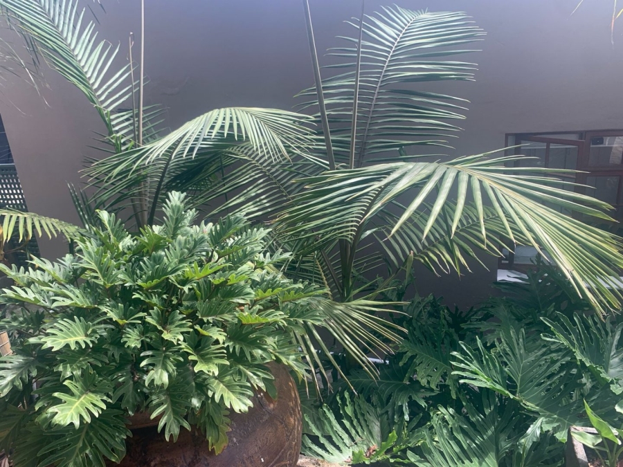 4 Bedroom Property for Sale in Fraaiuitsig Western Cape